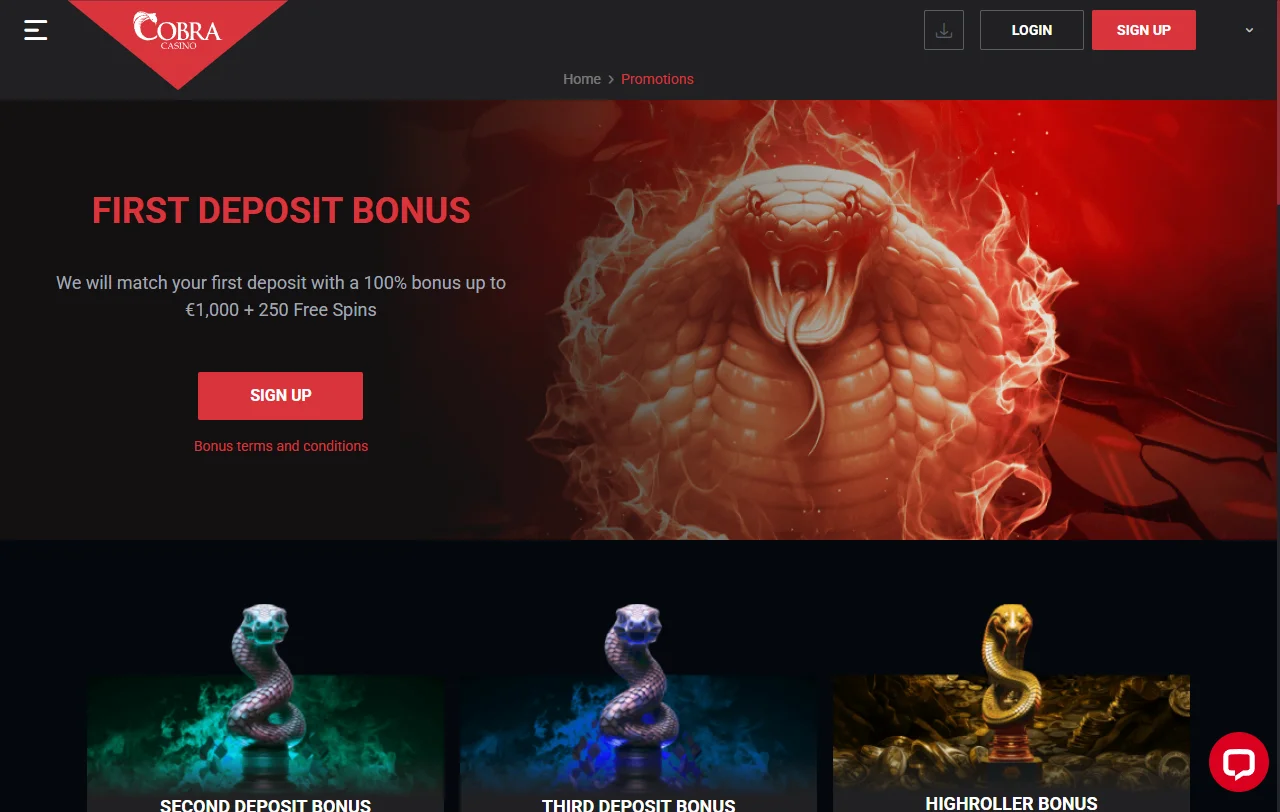 Selección juegos y proveedores en Cobra Casino España